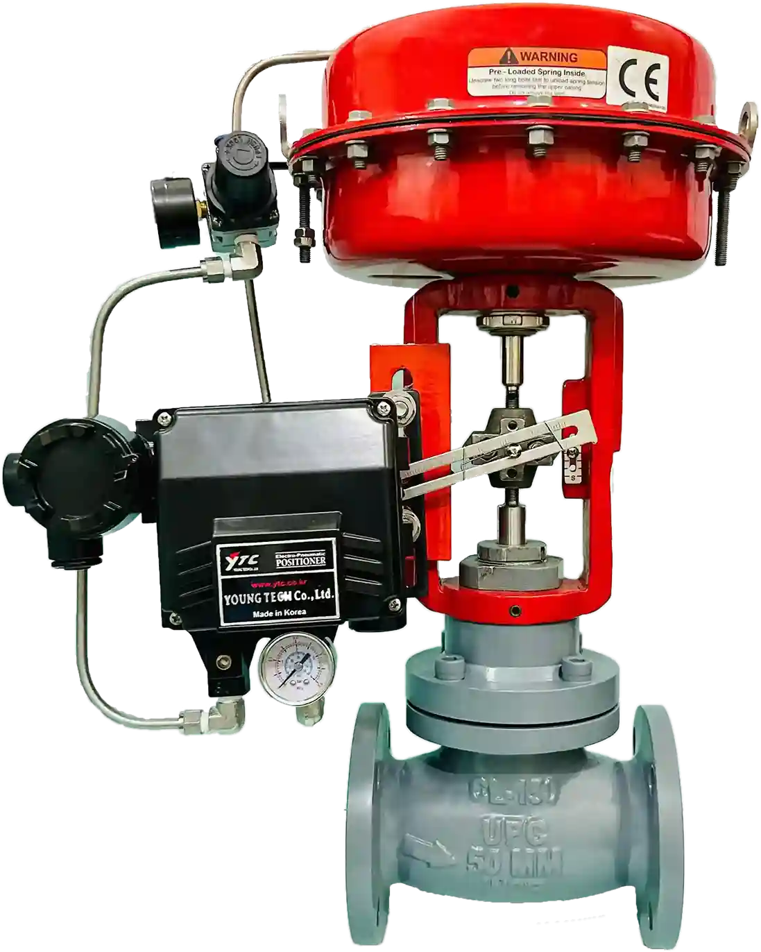 Cast steel Control Valve CL300